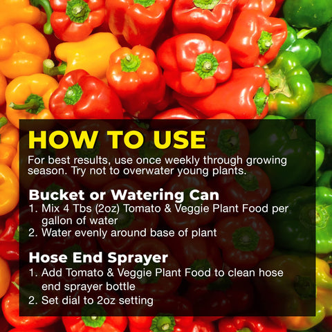 Bloom City Tomato & Veggie Plant Food in a container setup supporting vigorous growth.