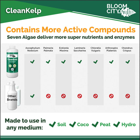 Bloom City USA-made formulation graphic underlines botanist-grade quality and craft nutrients.