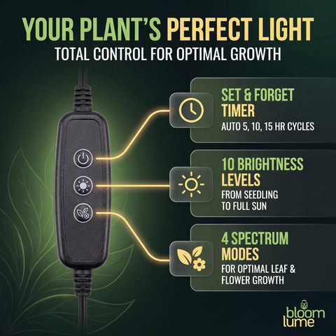 Bloom Lume auto timer keeps schedules consistent for plant care