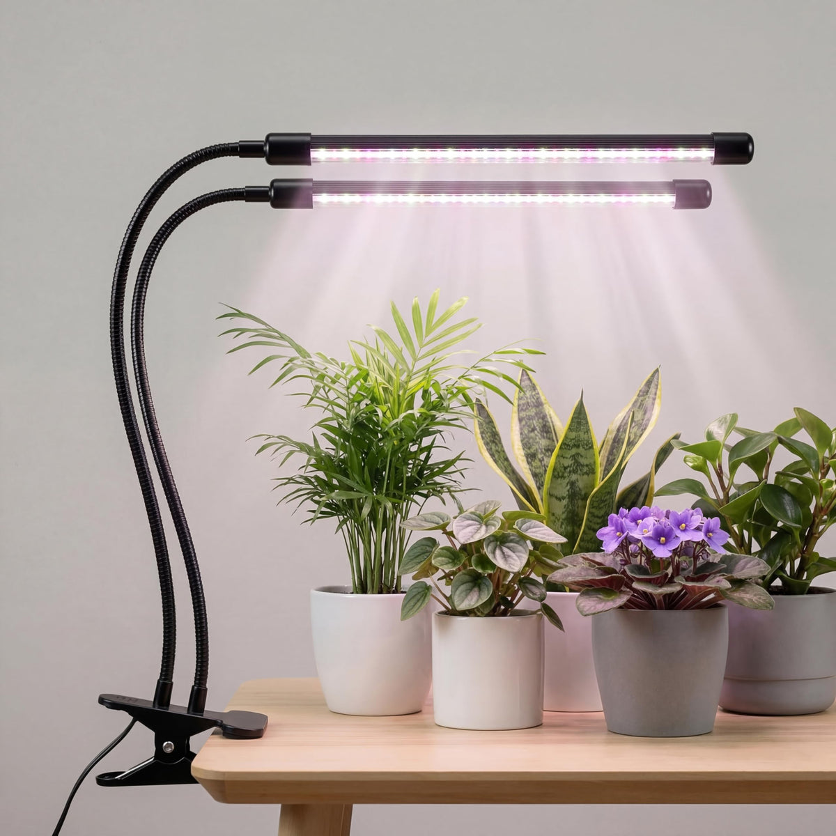 Bloom Lume full-spectrum light for indoor plants supporting healthy growth