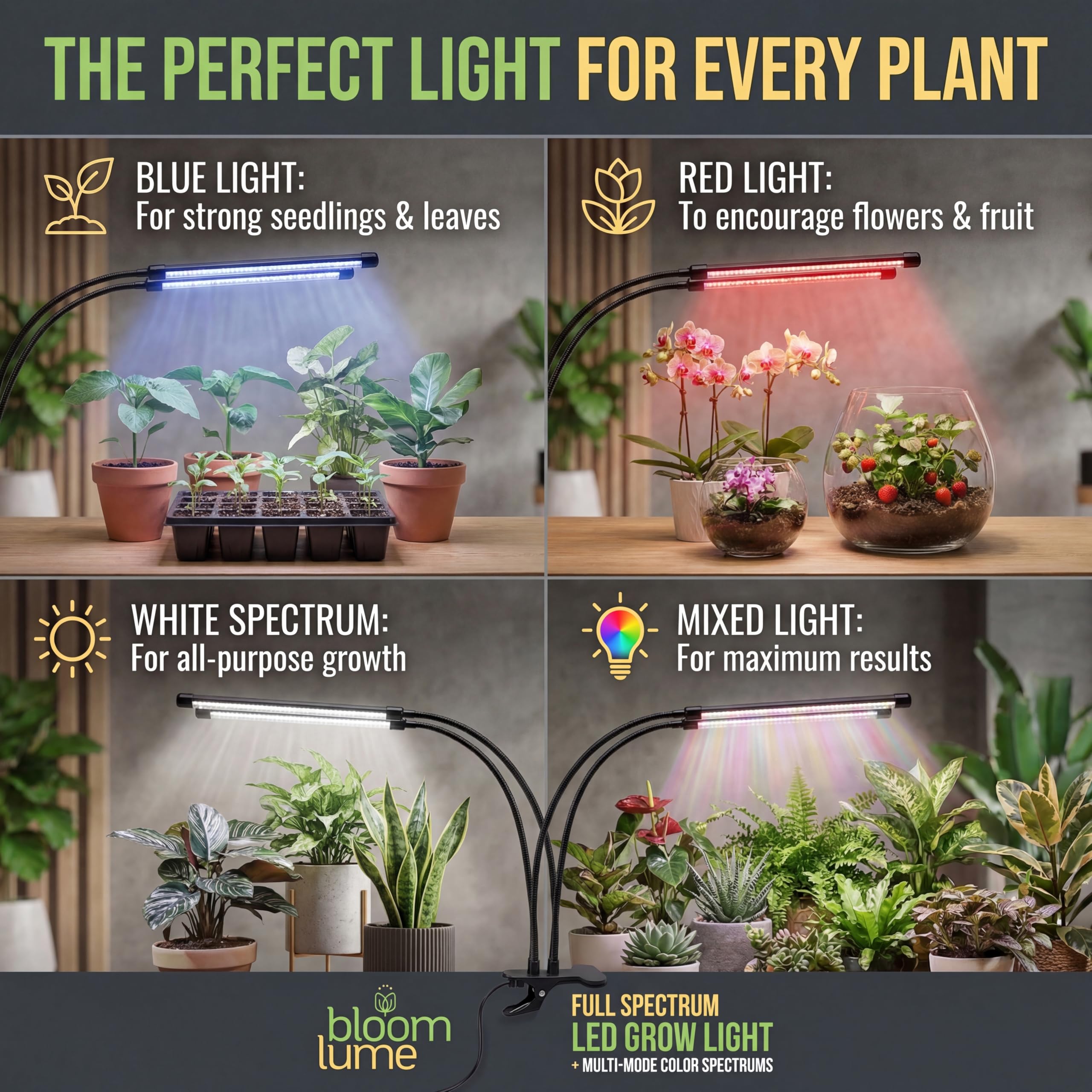 Bloom Lume red-blue enhanced lighting supports growth stages and flowering potential