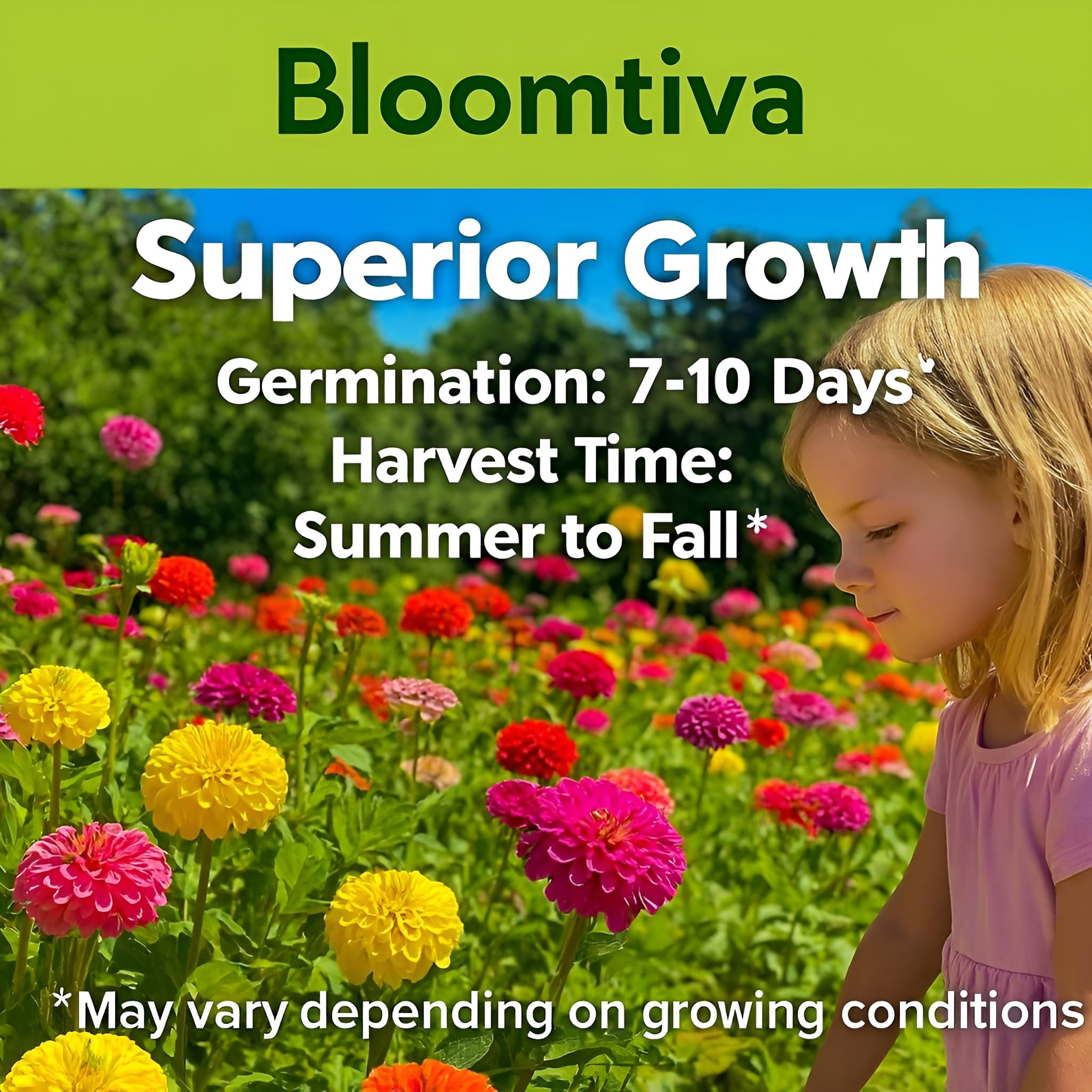 Easy-care Bloomtiva Zinnias with drought tolerance for busy gardens