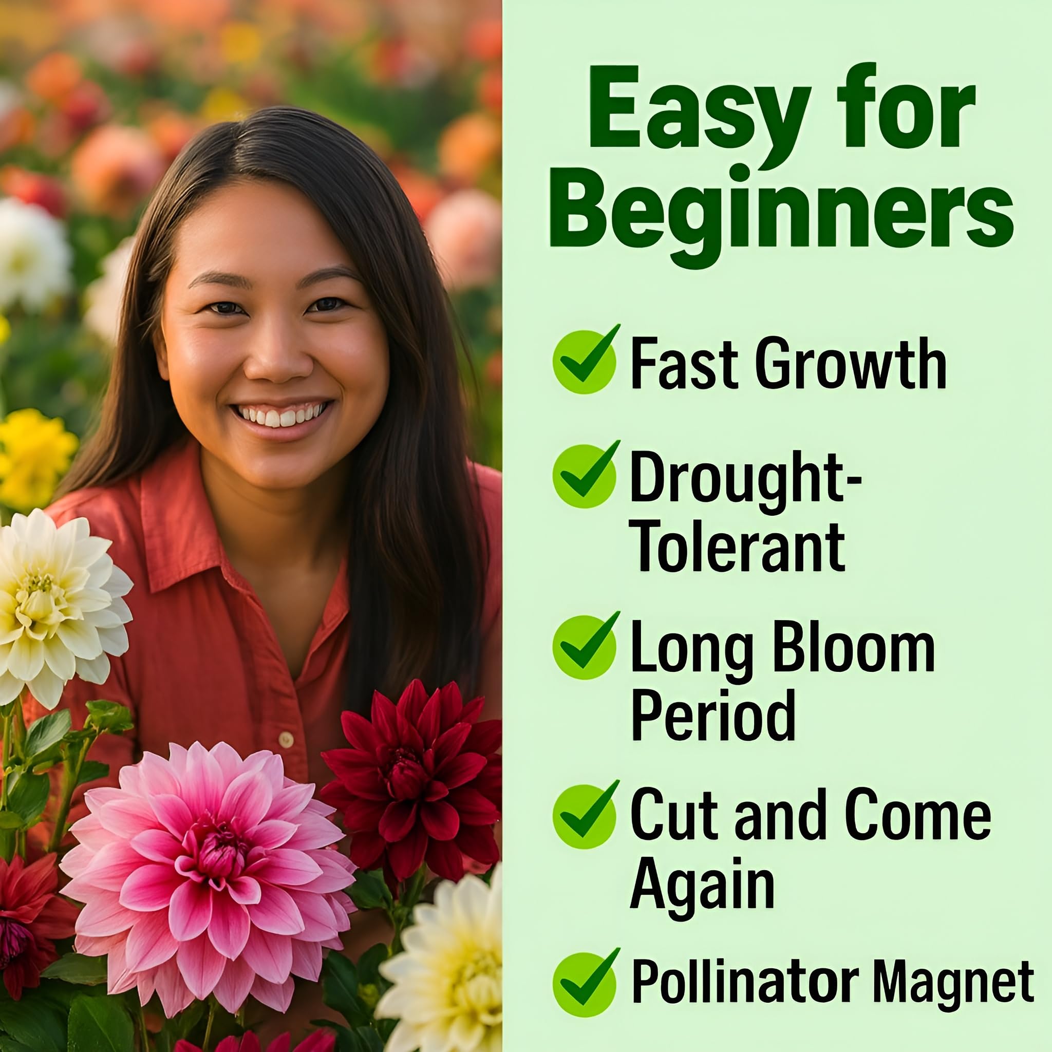 Bloomtiva Zinnias reach up to 36 inches for dramatic garden height