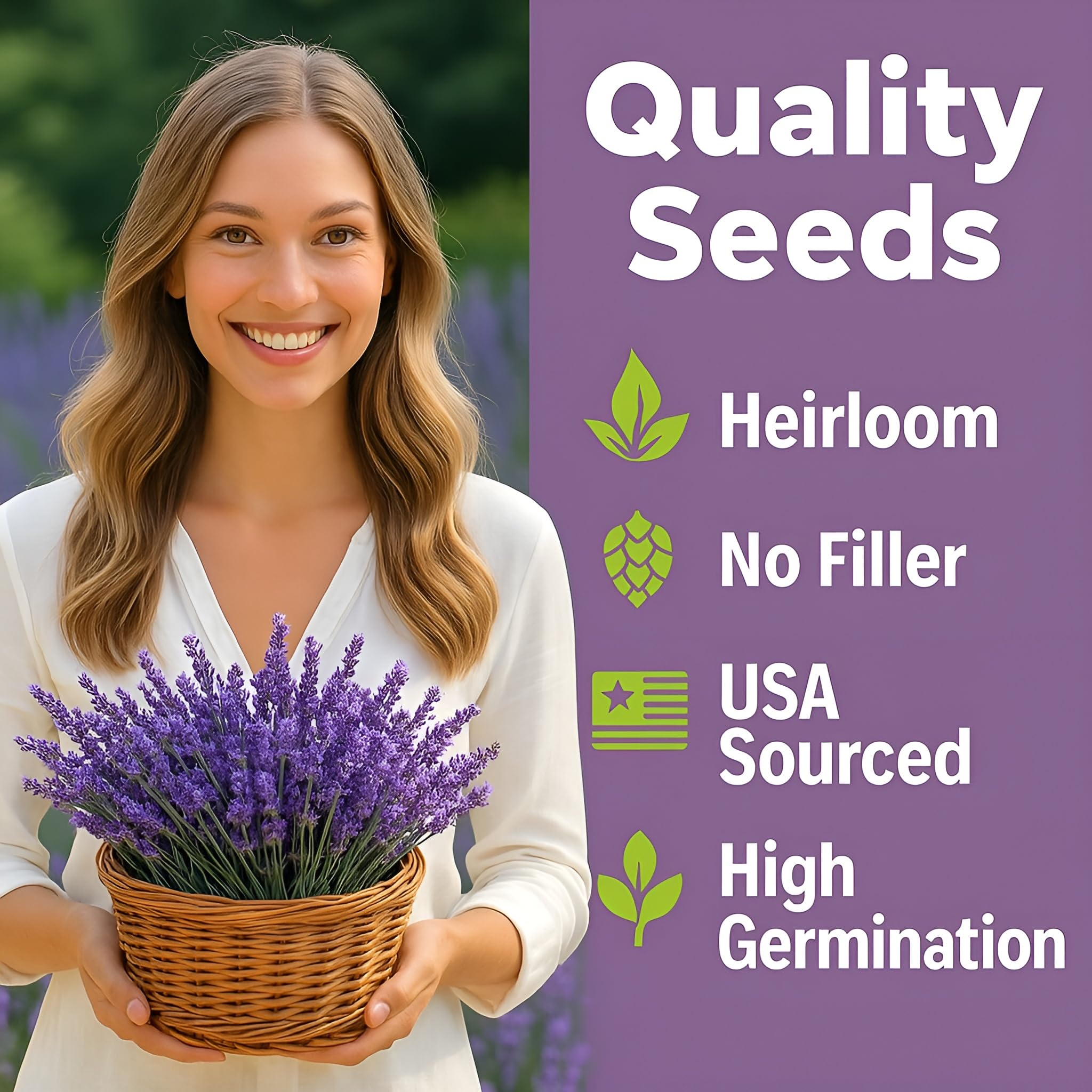Bloomtiva lavender seeds germination tray shows strong potential for sprouting indoors.