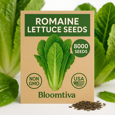 Bloomtiva heirloom romaine seeds for classic romaine quality