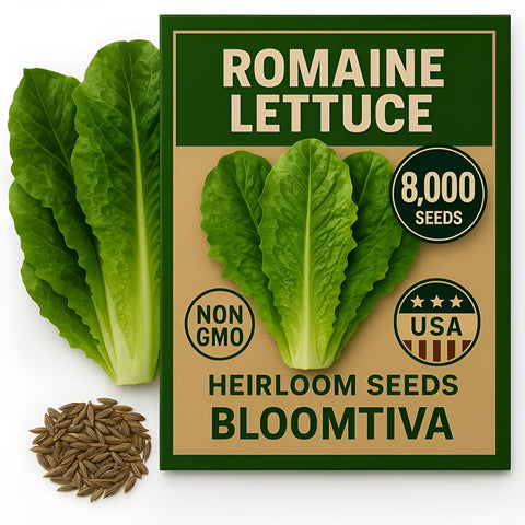 Bloomtiva Parris Island Cos seeds bulk pack for easy home gardening