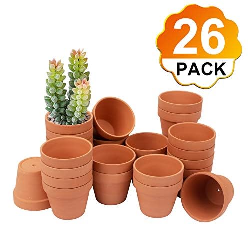 BLQH 26-pack terracotta planter close-up highlights the smooth fired texture.