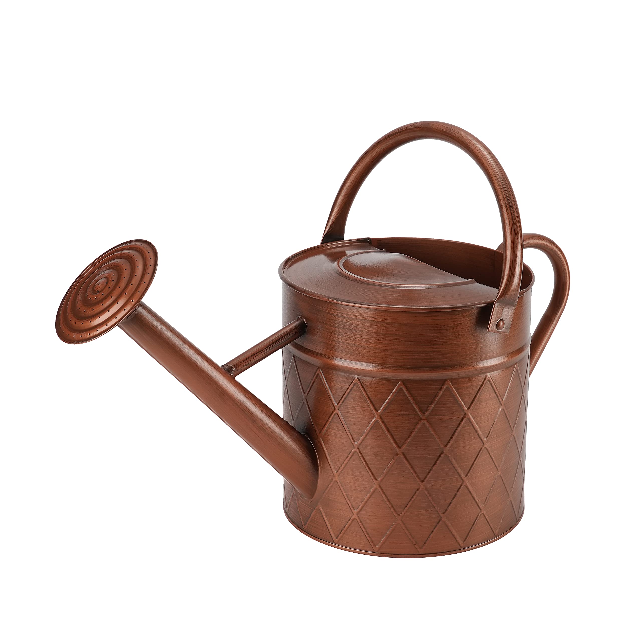 BLstyle copper watering can main view emphasizes rugged outdoor readiness
