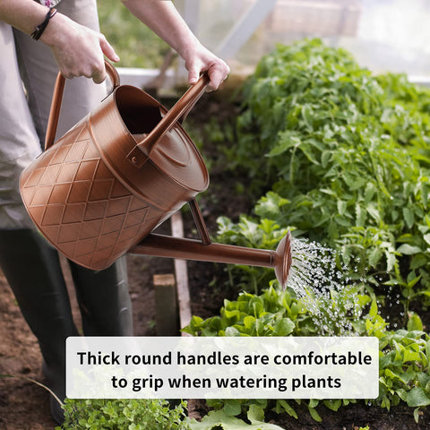 BLstyle outdoor watering can showcases 1.75 gallon capacity for larger plant batches