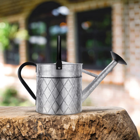 BLstyle silver watering can doubles as a decorative garden accent.