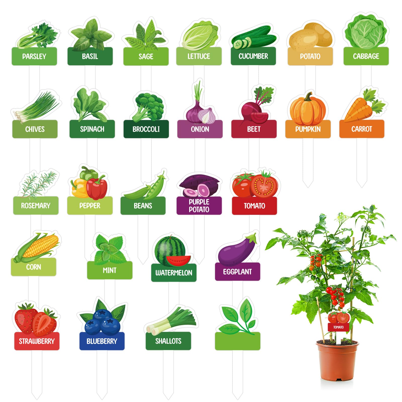 BLSUREFYX 60pcs vegetable marker signs in 26 styles for clear garden labeling