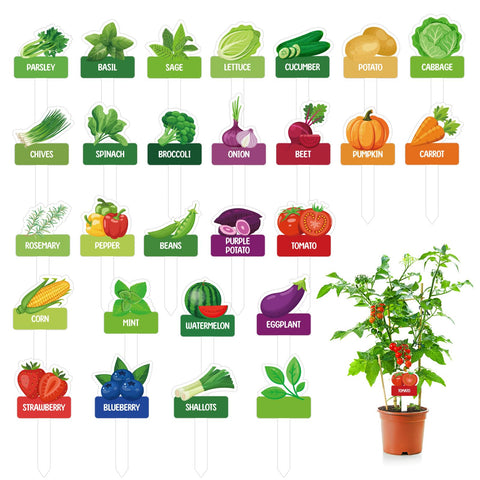 BLSUREFYX 60pcs vegetable marker signs in 26 styles for clear garden labeling