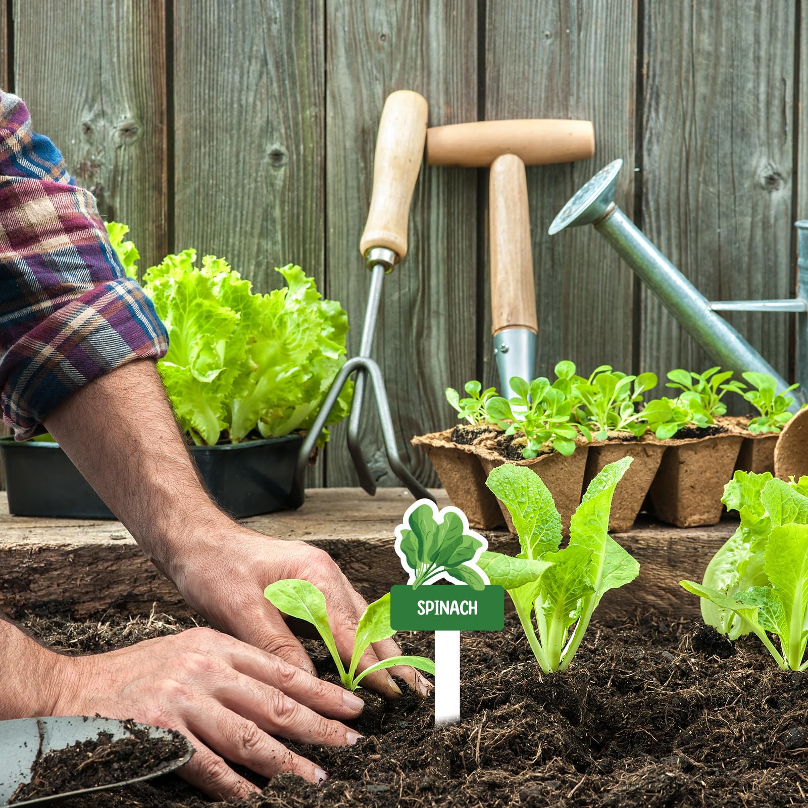 BLSUREFYX PVC plant labels fit soil without root damage
