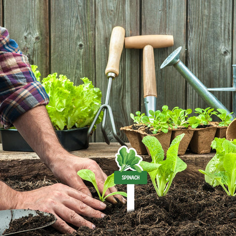 BLSUREFYX PVC plant labels fit soil without root damage