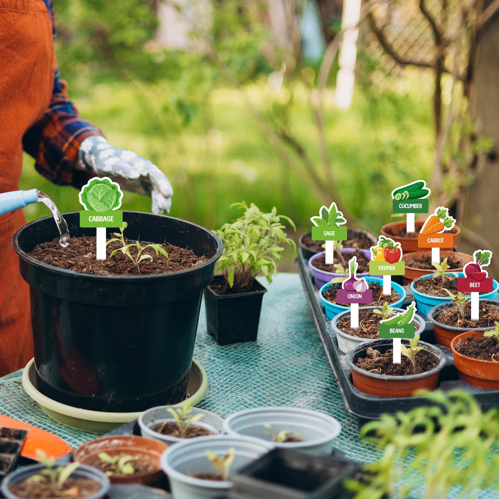 BLSUREFYX T-shape garden marker inserts easily without harming roots
