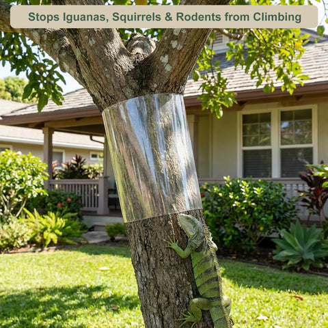 Bltopabb iguana barrier wrapped around tree trunk reduces climbing