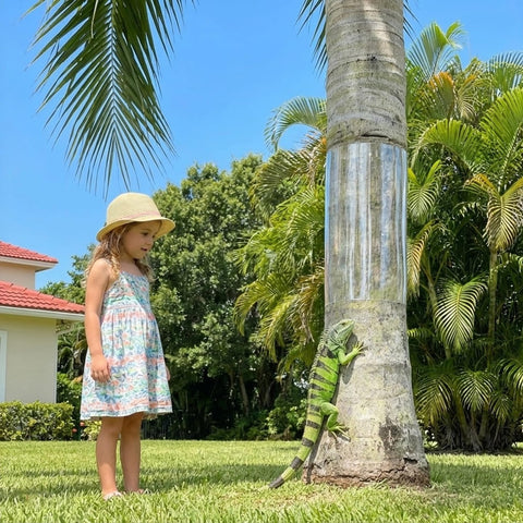 Bltopabb pest barrier protects garden from iguanas, rodents, and cats.