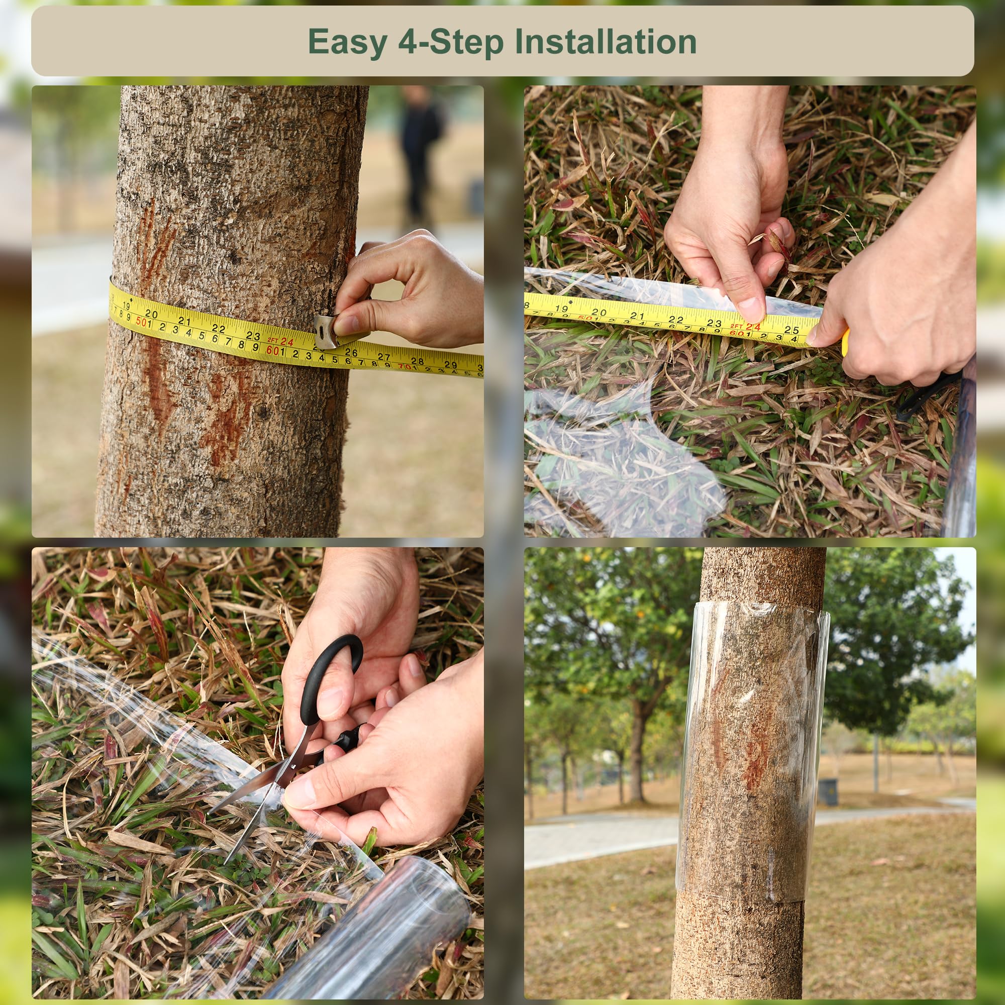 Bltopabb transparent design lets sunlight reach bark while protecting the trunk