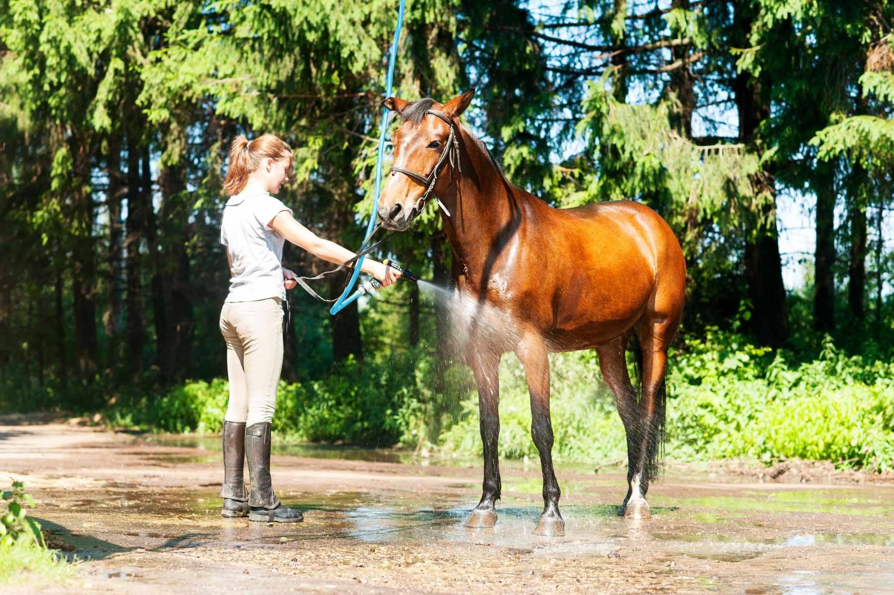 BLUBIRD AG-LITE AL3415 hose with ozone-resistant cover, UV and abrasion resistant.