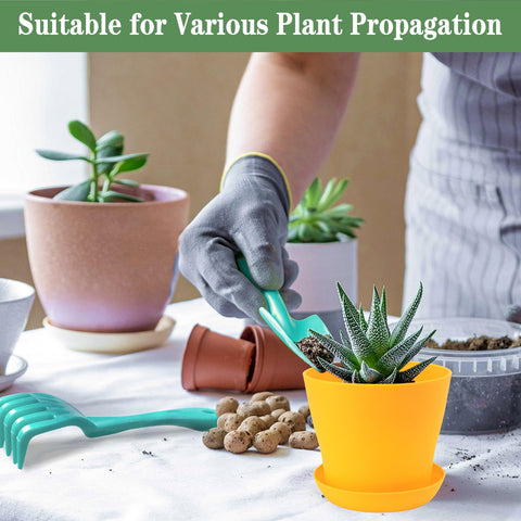 Bluckincle plant pots in garden setting suit indoors and outdoors.