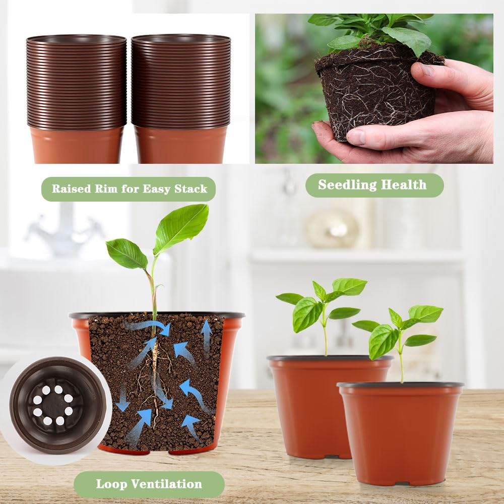 Bluckincle indoor-outdoor plant pot ideal for patios and desks.