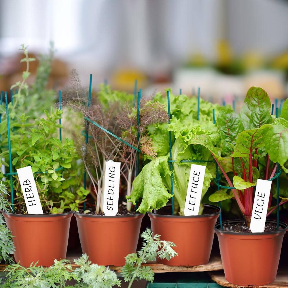 Bluckincle nursery pot with drainage holes promotes healthy root drainage.