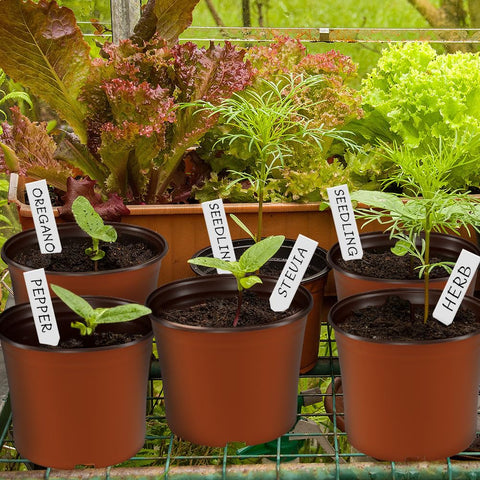 Bluckincle pots with labels, waterproof tags for easy seedling labeling
