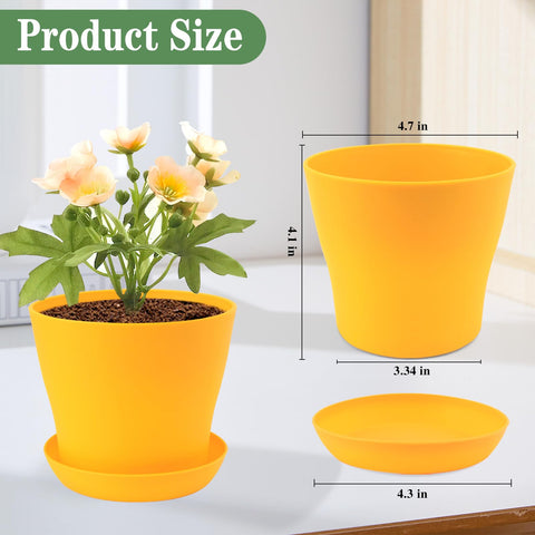 Bluckincle pots with matching saucers to manage excess water.