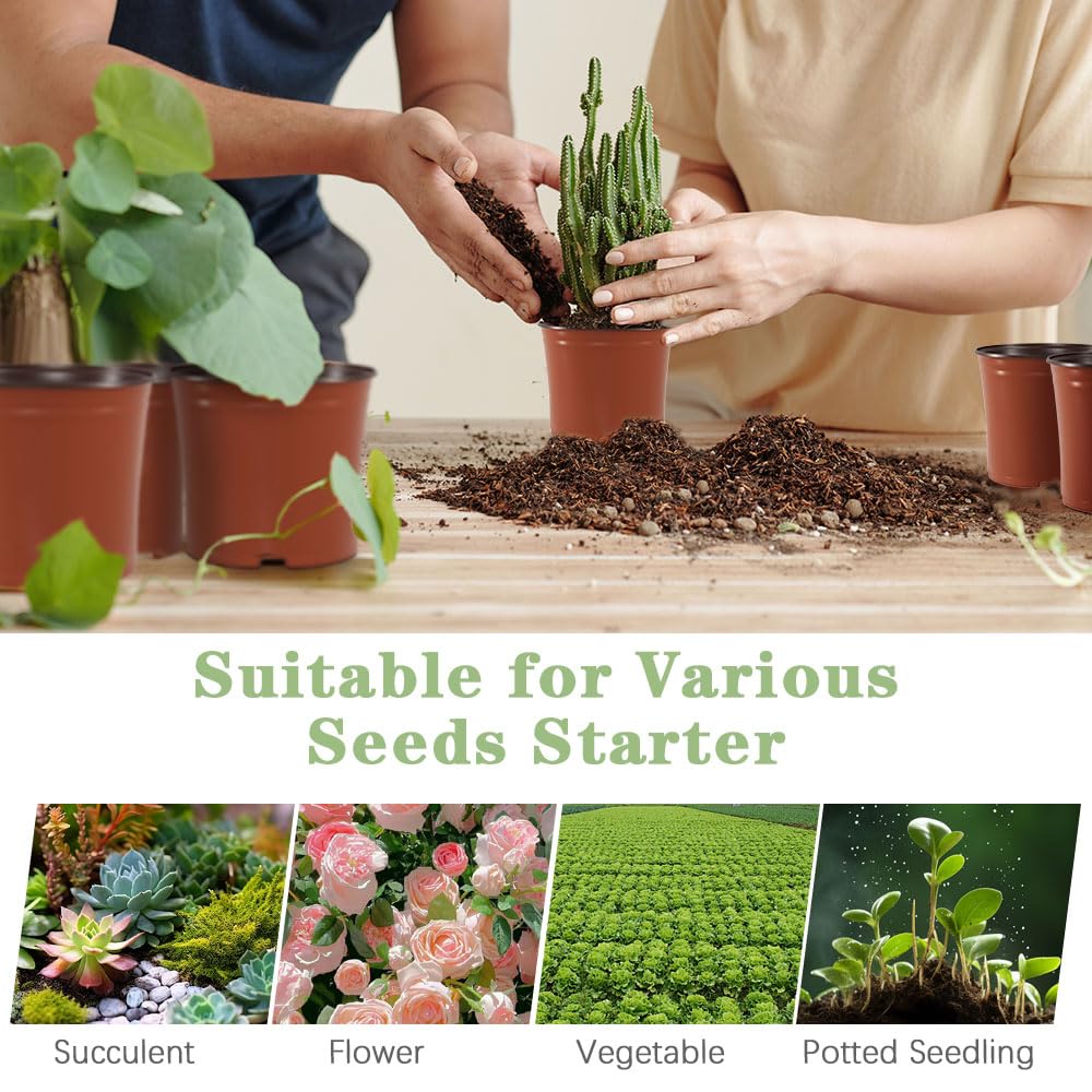 Bluckincle propagation pot supports cuttings and transplanting projects.