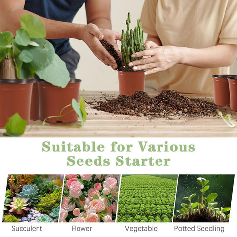 Bluckincle propagation pot supports cuttings and transplanting projects.