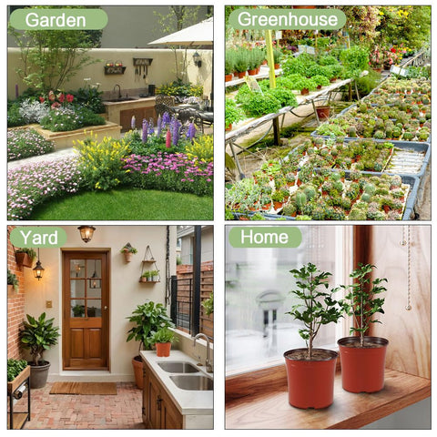 Bluckincle rustic red plant pots blend with decor while growing plants