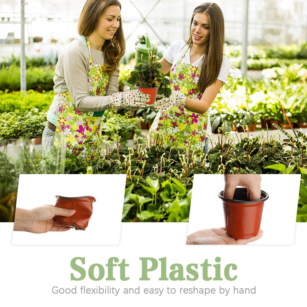 Bluckincle succulent seedling pot suitable for indoor plant starts.