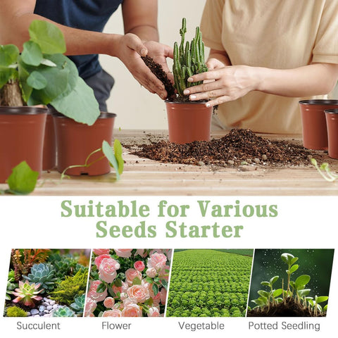 Bluckincle succulent and cutting pots support healthy propagation