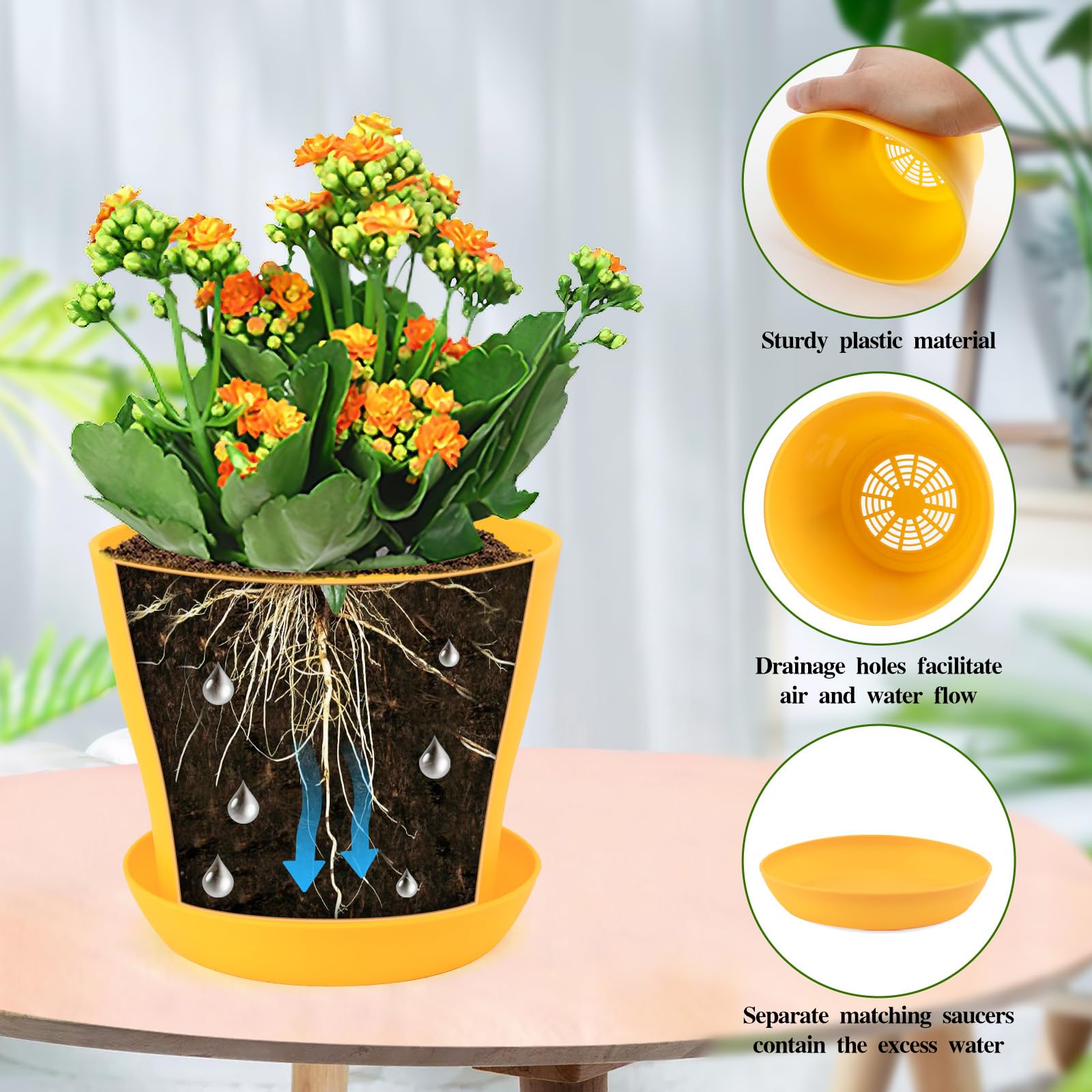 Bluckincle color pots on a sunny window sill for decor.