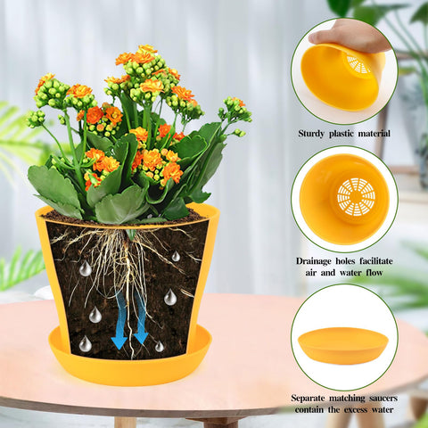 Bluckincle color pots on a sunny window sill for decor.