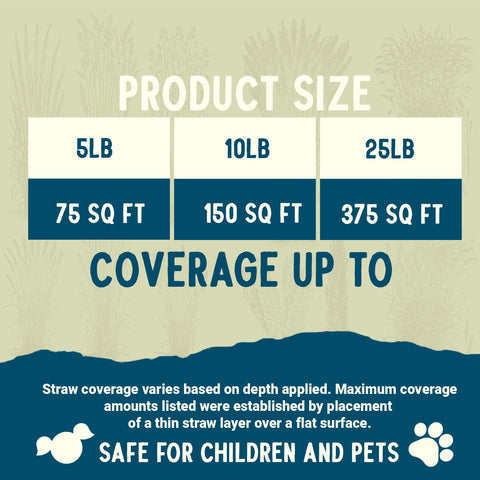 Blue Mountain Hay cat grass growing straw aids pet-friendly kits.