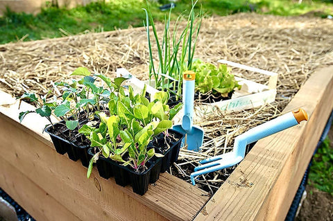 Blue Mountain Hay easy-spread straw distributes evenly across garden beds.