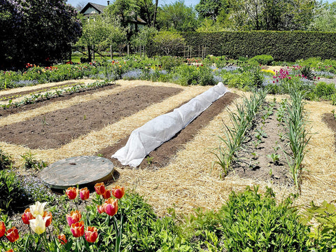 Blue Mountain Hay cover for lawn seeding to improve germination conditions.