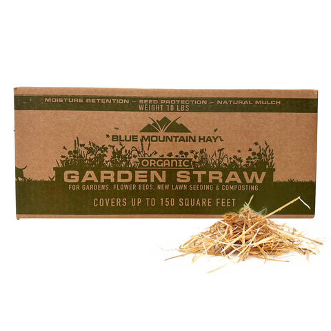 Blue Mountain Hay Organic Garden Straw covers garden beds for even mulch distribution.