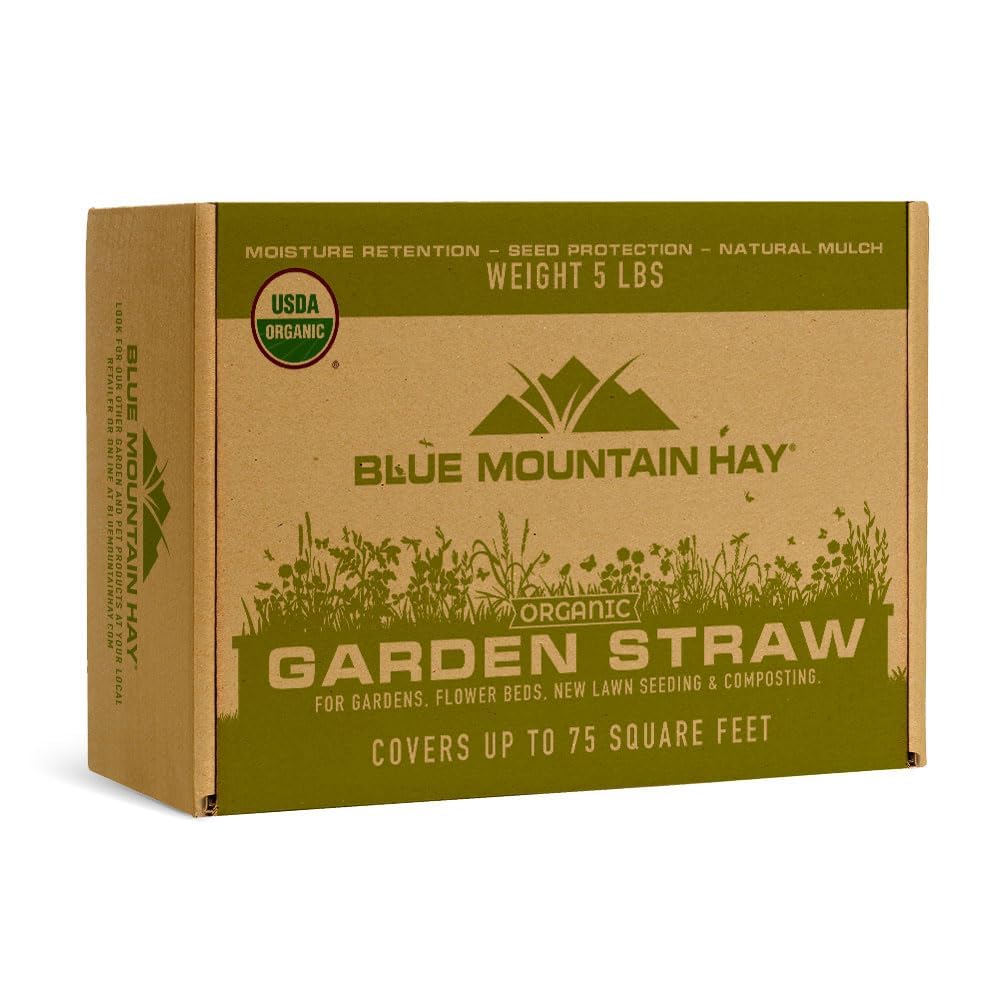 Blue Mountain Hay Organic Garden Straw mulch spread over beds for moisture retention