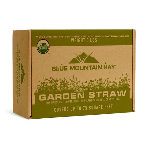 Blue Mountain Hay Organic Garden Straw mulch spread over beds for moisture retention