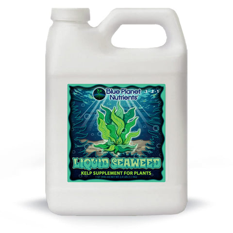 Blue Planet Nutrients liquid kelp bottle promotes root vigor and lush foliage.