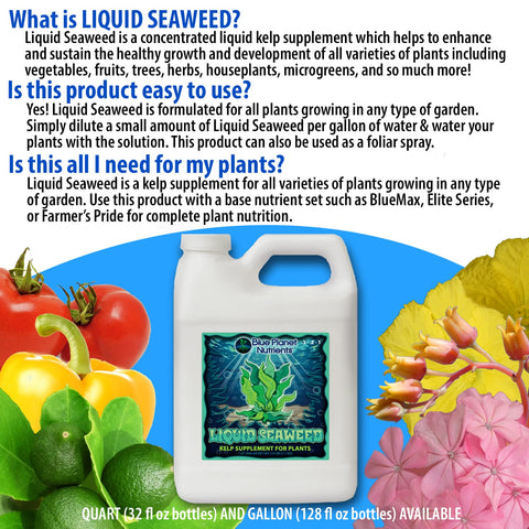 Blue Planet Nutrients roots and leaves close-up indicating plant vitality