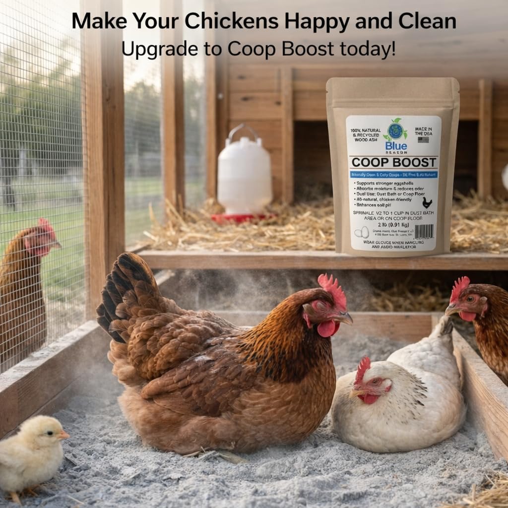 Calcium-rich wood ash detail highlighting natural minerals for the coop.
