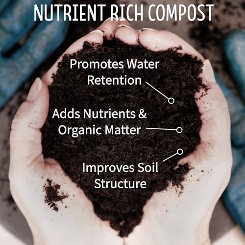 Blue Ribbon Organics compost seedling start promotes strong early growth.