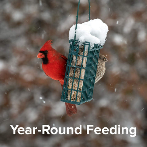 11oz Blue Seal suet cake pack ready for year-round feeding.