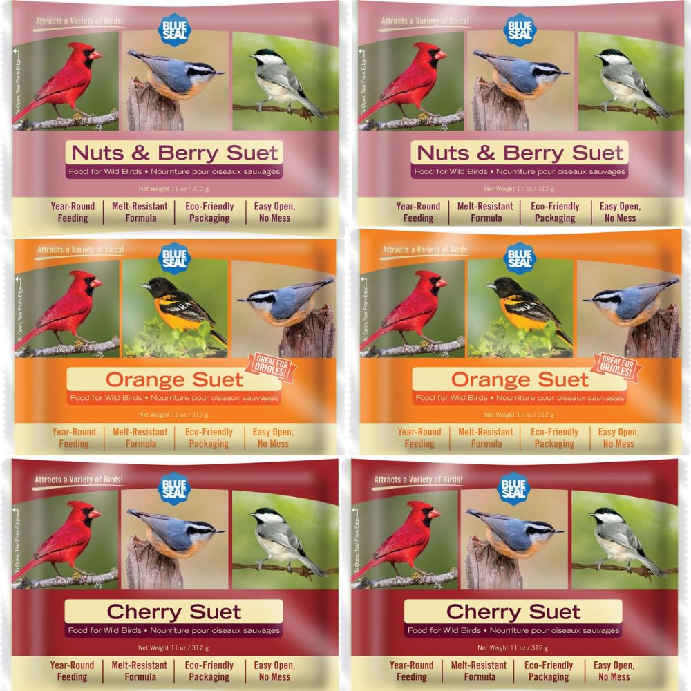 Blue Seal Berry Blend suet cake on a feeder inviting birds with mess-free energy.