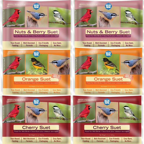 Blue Seal Berry Blend suet cake on a feeder inviting birds with mess-free energy.