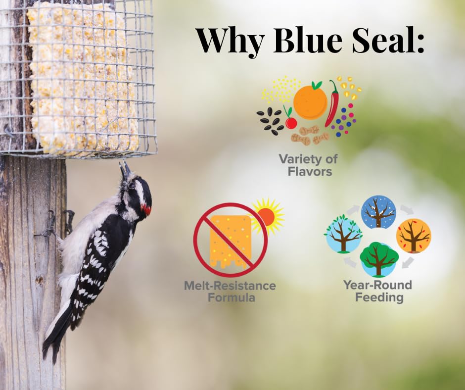 Blue Seal Berry Blend suet cake packaging open, easy to set up.