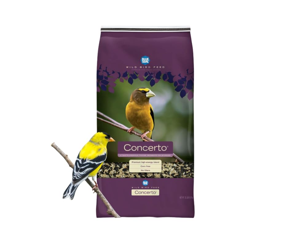 Blue Seal Concerto wild bird seed bag shown for backyard feeding